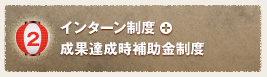 インターン制度＋成果達成時補助金制度