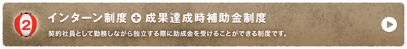 インターン制度＋成果達成時補助金制度